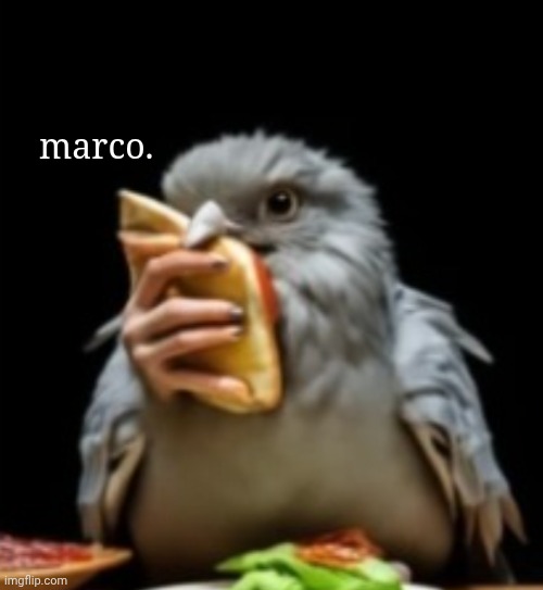 marco. | made w/ Imgflip meme maker