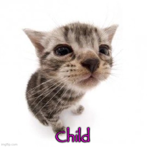El gatito | Child | image tagged in el gatito | made w/ Imgflip meme maker