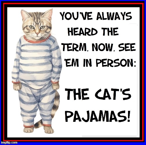 Cat's Pajamas was the name of a song from 1919 | image tagged in vince vance,cats,pajamas,cats pajamas,memes,cartoons | made w/ Imgflip meme maker