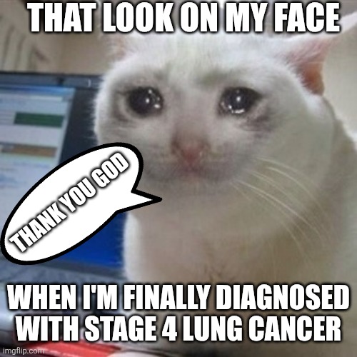 Crying cat | THAT LOOK ON MY FACE; THANK YOU GOD; WHEN I'M FINALLY DIAGNOSED WITH STAGE 4 LUNG CANCER | image tagged in crying cat | made w/ Imgflip meme maker