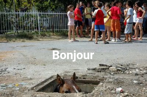 Bonjour | made w/ Imgflip meme maker