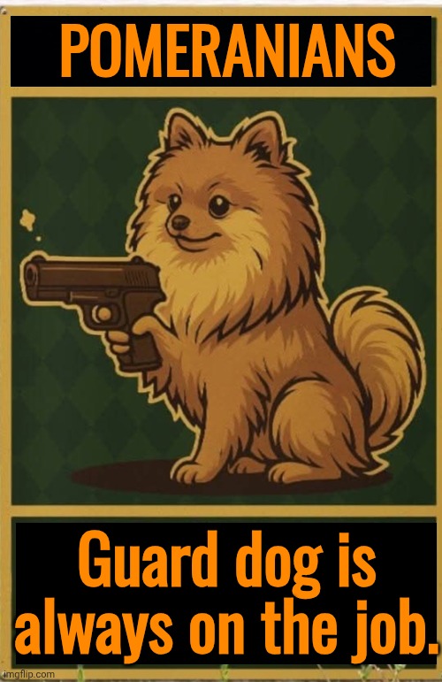 Pomeranian Security Blank Meme Template