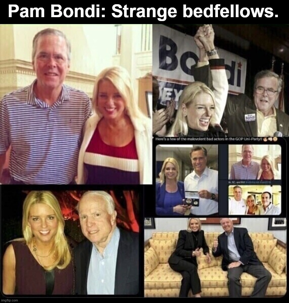 I don't know about you, but I didn't vote for this. | image tagged in pam bondi,strange bedfellows,rino,deep state,chameleon,can of worms | made w/ Imgflip meme maker