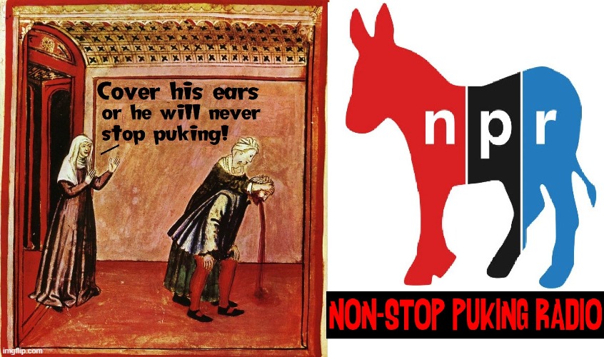 National Public Radio should mean that there's at least a semblance of balance of opinions | image tagged in vince vance,npr,national public radio,funding,gone,thank you god | made w/ Imgflip meme maker