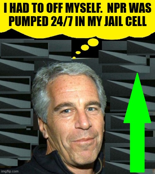 The Truth Finally Comes Oujt | I HAD TO OFF MYSELF.  NPR WAS
PUMPED 24/7 IN MY JAIL CELL | image tagged in vince vance,jeffrey epstein,memes,upvotes,npr,epstein didn't kill himself | made w/ Imgflip meme maker
