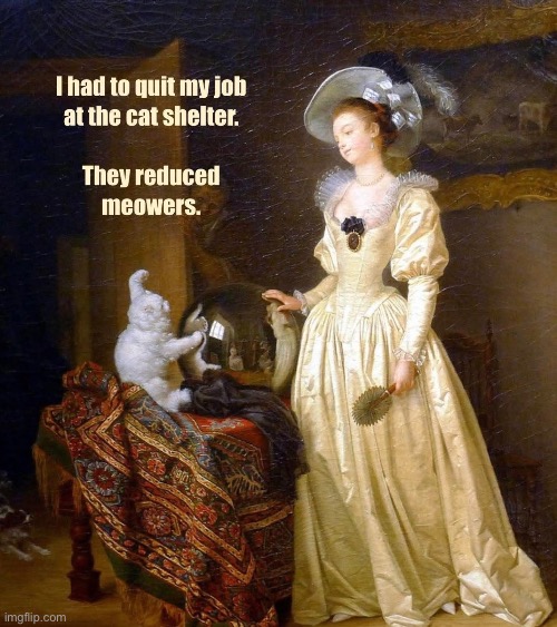 Meooow Tish | image tagged in cats,meow | made w/ Imgflip meme maker