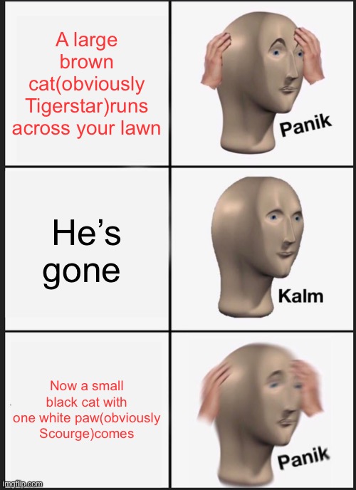 Panik Kalm Panik | A large brown cat(obviously Tigerstar)runs across your lawn; He’s gone; Now a small black cat with one white paw(obviously Scourge)comes | image tagged in memes,panik kalm panik | made w/ Imgflip meme maker
