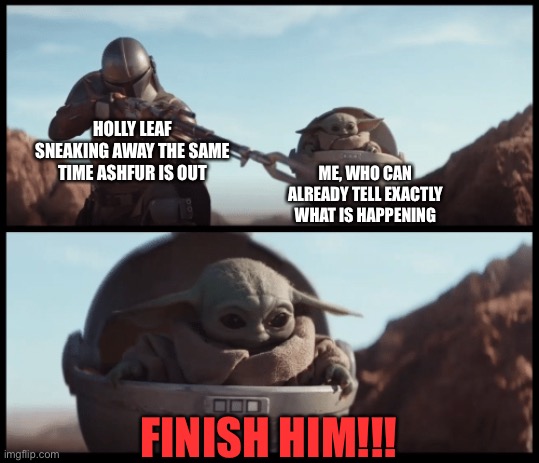 Spoiler alert | HOLLY LEAF SNEAKING AWAY THE SAME TIME ASHFUR IS OUT; ME, WHO CAN ALREADY TELL EXACTLY WHAT IS HAPPENING; FINISH HIM!!! | image tagged in baby yoda | made w/ Imgflip meme maker