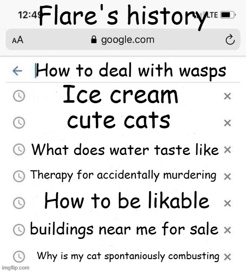 nice | Flare's history; Ice cream; How to deal with wasps; cute cats; What does water taste like; Therapy for accidentally murdering; How to be likable; buildings near me for sale; Why is my cat spontaniously combusting | image tagged in google search history blank | made w/ Imgflip meme maker