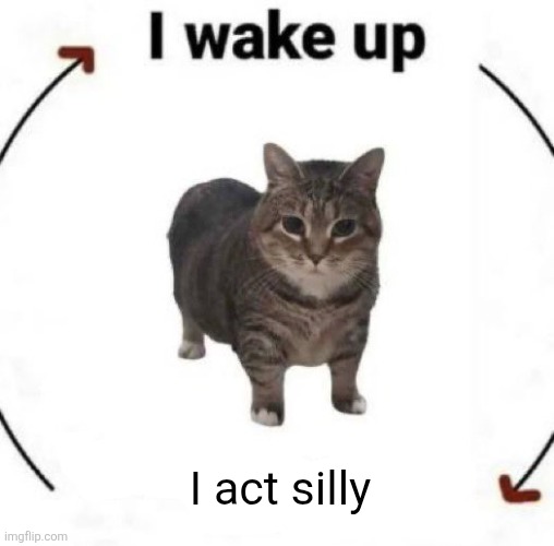 i wake up cat | I act silly | image tagged in i wake up cat | made w/ Imgflip meme maker