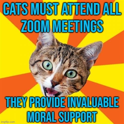 Cats Must Attend All Zoom Meetings; They Provide Invaluable Moral Support | CATS MUST ATTEND ALL
ZOOM MEETINGS; THEY PROVIDE INVALUABLE
MORAL SUPPORT | image tagged in memes,bad advice cat,cats,zoom,meetings,morality | made w/ Imgflip meme maker