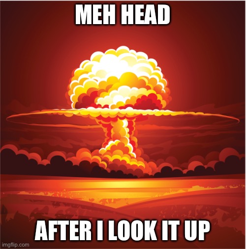 mushroom cloud | MEH HEAD; AFTER I LOOK IT UP | image tagged in mushroom cloud | made w/ Imgflip meme maker