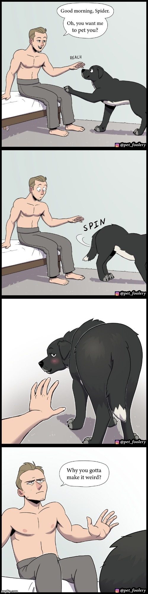 image tagged in dog,pet,petting,spin,butt,weird | made w/ Imgflip meme maker