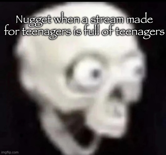 Skull low quality | Nugget when a stream made for teenagers is full of teenagers | image tagged in skull low quality | made w/ Imgflip meme maker