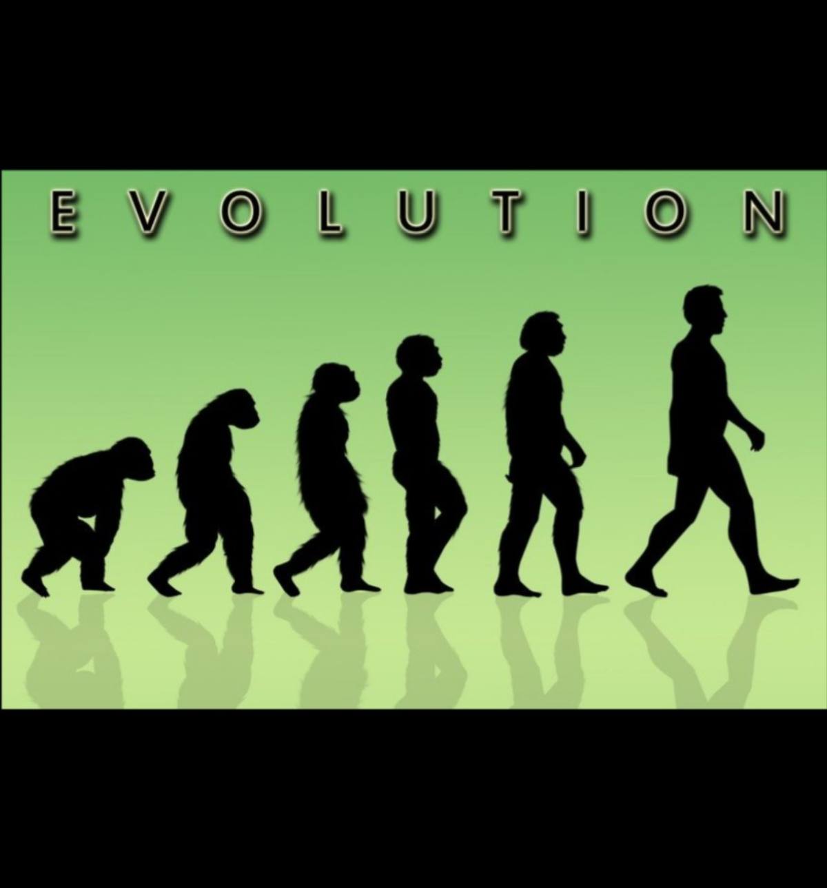 Evolution Blank Meme Template