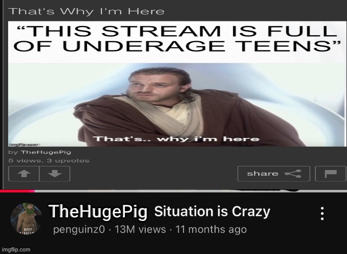 Does thp know about this | TheHugePig | image tagged in penguinz0 situation | made w/ Imgflip meme maker