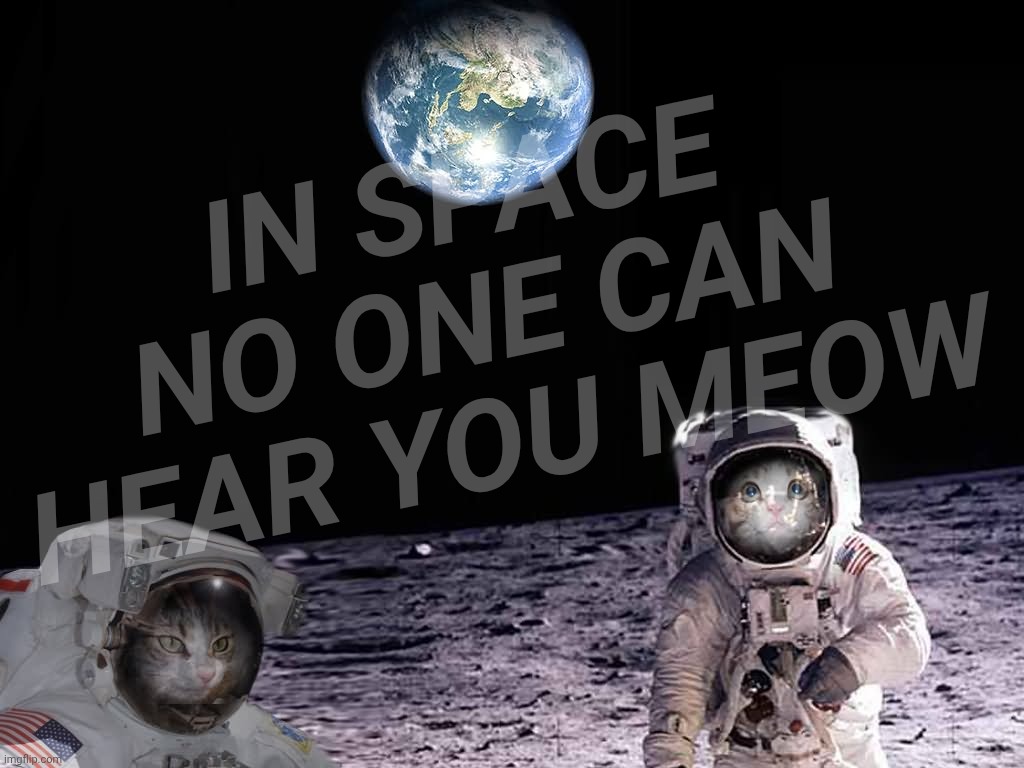 Kitty Cats astronauts space on moon | IN SPACE NO ONE CAN HEAR YOU MEOW | image tagged in kitty cats astronauts space on moon | made w/ Imgflip meme maker