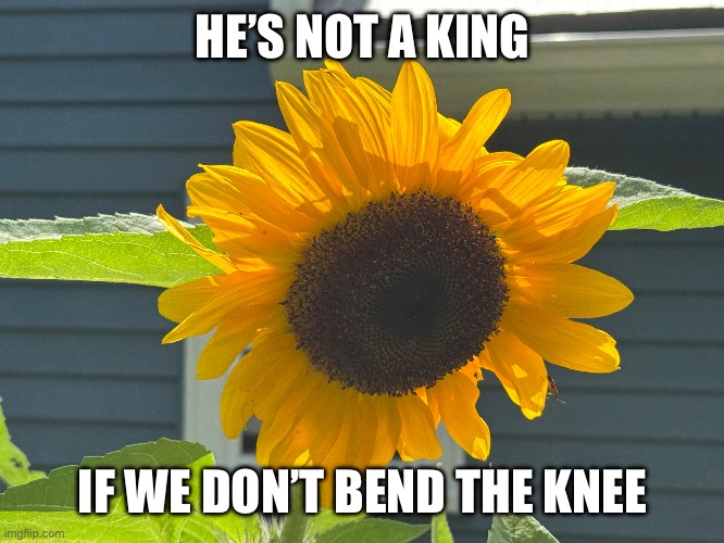 No kings | HE’S NOT A KING; IF WE DON’T BEND THE KNEE | made w/ Imgflip meme maker