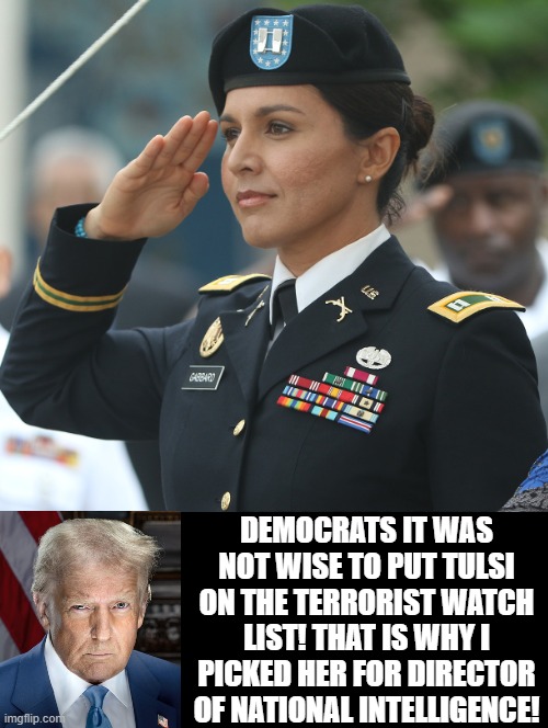 Democrats made a BIG mistake! They put Tulsi a decorated officer on the terrorist watch list! | DEMOCRATS IT WAS NOT WISE TO PUT TULSI ON THE TERRORIST WATCH LIST! THAT IS WHY I PICKED HER FOR DIRECTOR OF NATIONAL INTELLIGENCE! | image tagged in worst mistake of my life | made w/ Imgflip meme maker