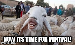 NOW ITS TIME FOR MINTPAL! | image tagged in goatfacewinner | made w/ Imgflip meme maker