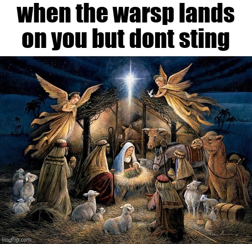 you read wasp wronq | when the warsp lands on you but dont sting | image tagged in nativity scene | made w/ Imgflip meme maker