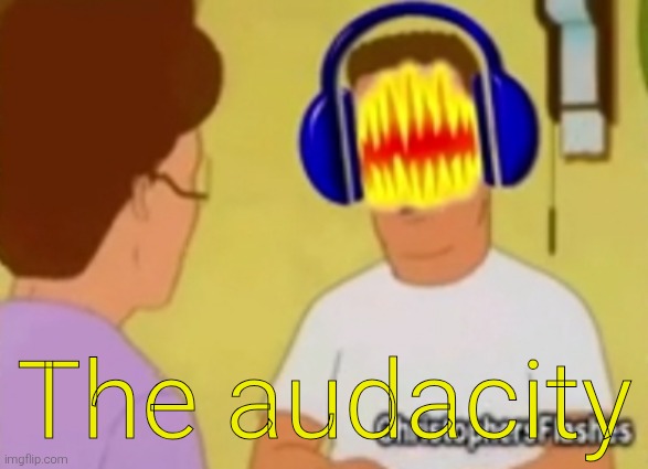 Hank Hill the audacity | The audacity | image tagged in hank hill the audacity | made w/ Imgflip meme maker