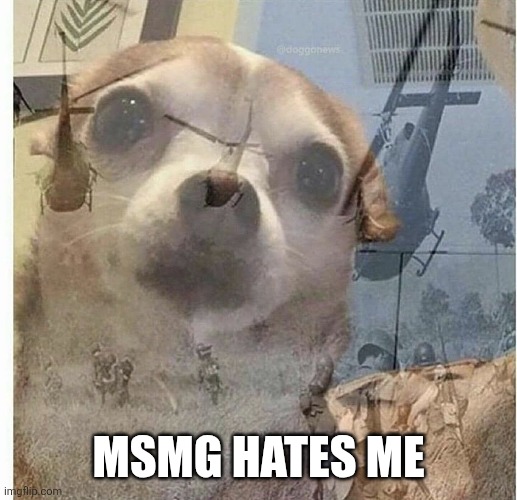 HELP | MSMG HATES ME | image tagged in ptsd chihuahua | made w/ Imgflip meme maker