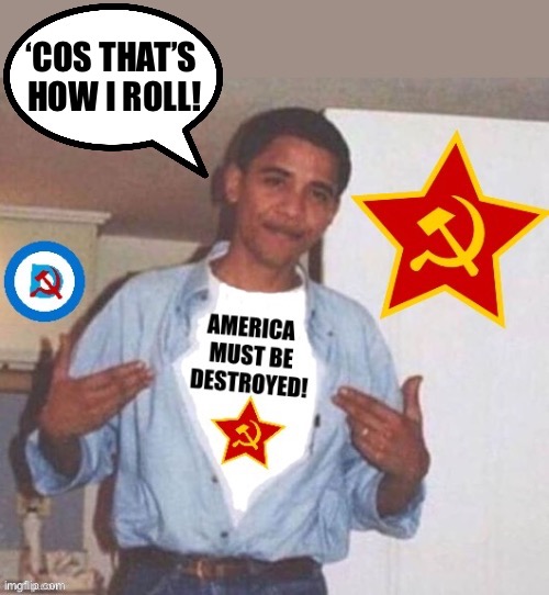 Barry’s 20+ years in politics have gone a long way to achieving that goal… | ‘COS THAT’S 
HOW I ROLL! | image tagged in political meme,barack obama,destroy america | made w/ Imgflip meme maker
