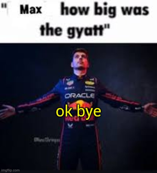 thx for idk im going into yt | ok bye | image tagged in max how big was the gyatt | made w/ Imgflip meme maker