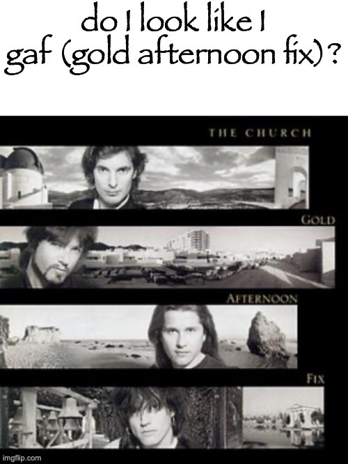 do I look like i gaf | image tagged in do i look like i gaf | made w/ Imgflip meme maker