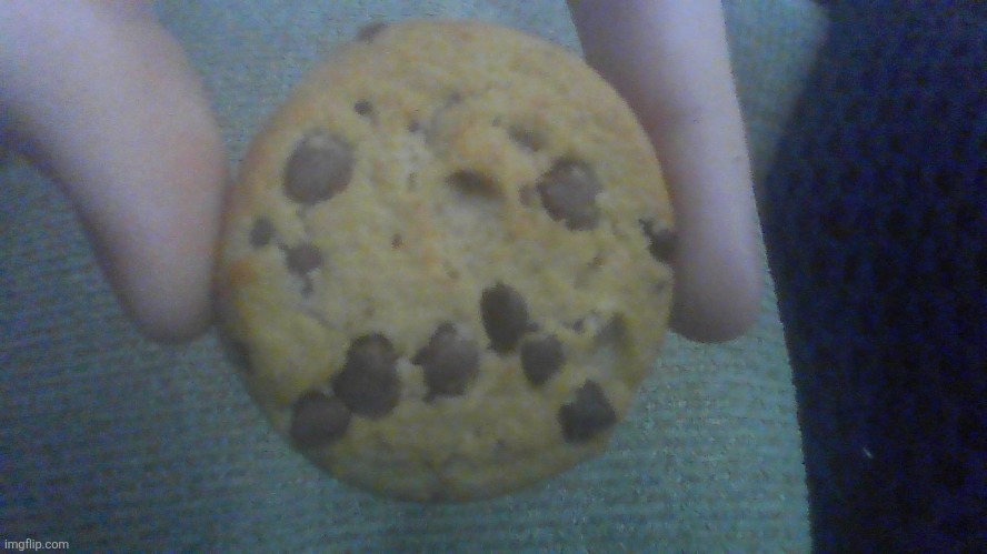 Bye guys I love all of you :_) | image tagged in sad cookie | made w/ Imgflip meme maker