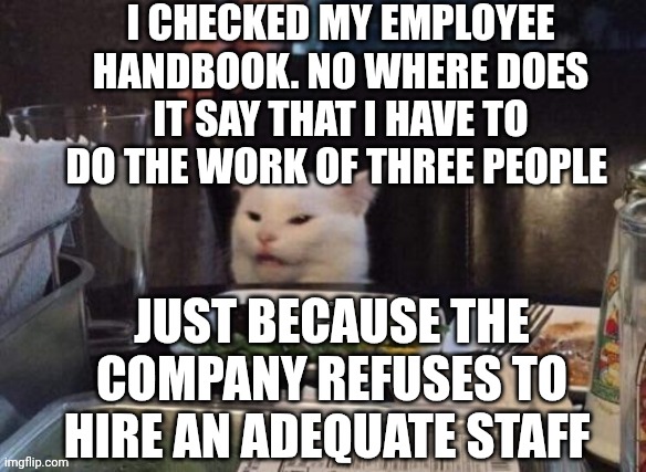 Smudge that darn cat | I CHECKED MY EMPLOYEE HANDBOOK. NO WHERE DOES IT SAY THAT I HAVE TO DO THE WORK OF THREE PEOPLE; JUST BECAUSE THE COMPANY REFUSES TO HIRE AN ADEQUATE STAFF | image tagged in smudge that darn cat | made w/ Imgflip meme maker