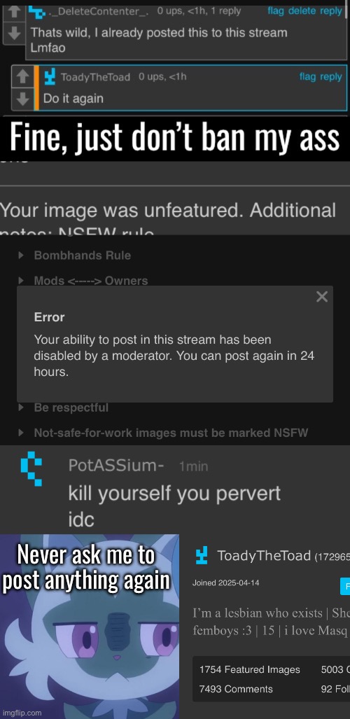 Never again | Never ask me to post anything again | made w/ Imgflip meme maker