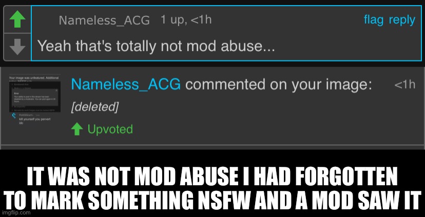 Doesn’t help that I can’t mark it after it’s submitted | IT WAS NOT MOD ABUSE I HAD FORGOTTEN TO MARK SOMETHING NSFW AND A MOD SAW IT | made w/ Imgflip meme maker