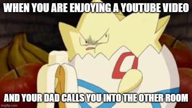 This sometimes happens to me | WHEN YOU ARE ENJOYING A YOUTUBE VIDEO; AND YOUR DAD CALLS YOU INTO THE OTHER ROOM | image tagged in what you look like after watching the first pokemon movie,pokemon | made w/ Imgflip meme maker