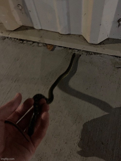 Goodbye buddy.  Nice knowing you. | made w/ Imgflip meme maker