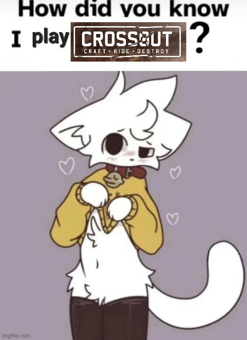 How did you know I play X? | image tagged in how did you know i play x | made w/ Imgflip meme maker