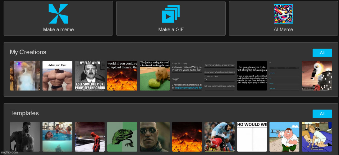 Taking a screenshot of imgflip before imgflip removes imgflip. | made w/ Imgflip meme maker