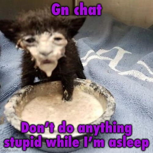 Pie :3 | Gn chat; Don’t do anything stupid while I’m asleep | image tagged in pie 3 | made w/ Imgflip meme maker