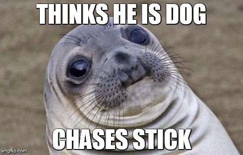 Awkward Moment Sealion Meme | THINKS HE IS DOG CHASES STICK | image tagged in memes,awkward moment sealion | made w/ Imgflip meme maker