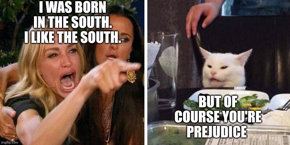 Smudge that darn cat with Karen | I WAS BORN IN THE SOUTH. I LIKE THE SOUTH. BUT OF COURSE YOU'RE PREJUDICE | image tagged in smudge that darn cat with karen | made w/ Imgflip meme maker