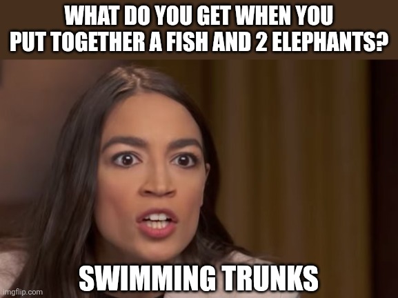 AOC | WHAT DO YOU GET WHEN YOU PUT TOGETHER A FISH AND 2 ELEPHANTS? SWIMMING TRUNKS | image tagged in aoc,politics | made w/ Imgflip meme maker