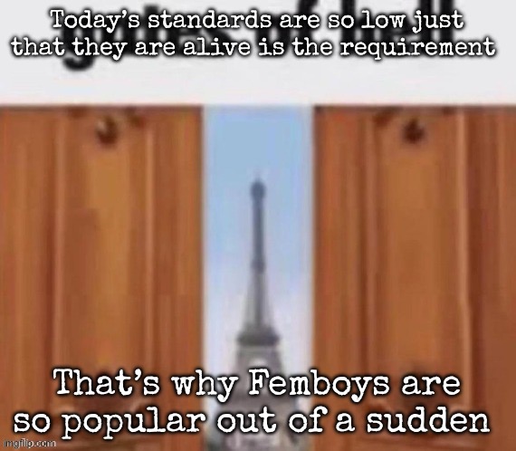 The gates of hell | Today’s standards are so low just that they are alive is the requirement; That’s why Femboys are so popular out of a sudden | image tagged in the gates of hell,msmg | made w/ Imgflip meme maker