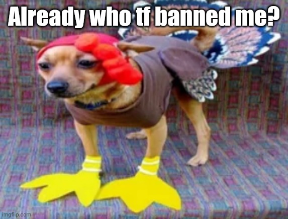 Turkey dog | Already who tf banned me? | image tagged in turkey dog | made w/ Imgflip meme maker