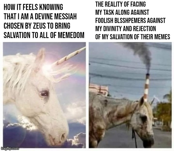 I forgive you all for rejecting me for you do not know what you are doing. | The reality of facing my task along against foolish blsshpemers against my divinity and rejection of my salvation of their memes; How it feels knowing that I am a devine messiah chosen by Zeus to bring salvation to all of memedom | image tagged in happy sad horse meme | made w/ Imgflip meme maker
