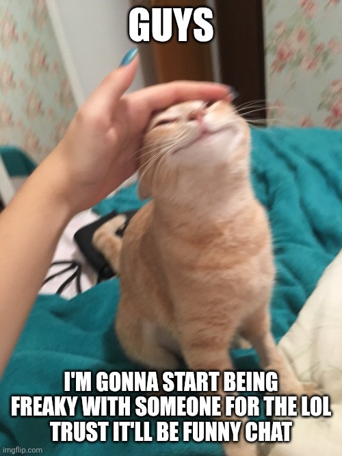 Count your days, Yakko | GUYS; I'M GONNA START BEING FREAKY WITH SOMEONE FOR THE LOL
TRUST IT'LL BE FUNNY CHAT | image tagged in cat pat | made w/ Imgflip meme maker