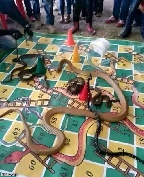 we are still missing one player tho | image tagged in snake,snakes and ladders | made w/ Imgflip meme maker