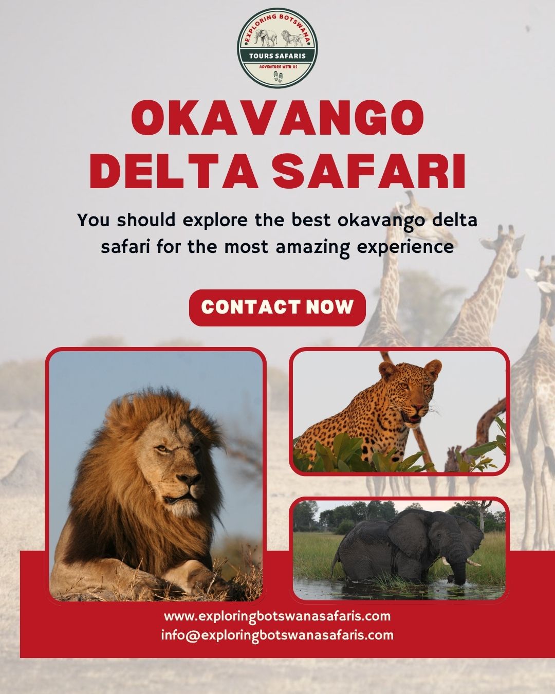 Okavango Delta Safari Blank Meme Template