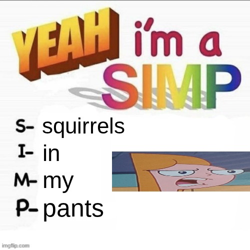 Yeah im a simp | squirrels; in; my; pants | image tagged in yeah im a simp | made w/ Imgflip meme maker