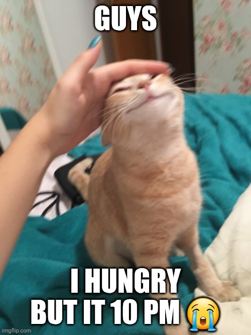 I can't eat, it's too late | GUYS; I HUNGRY
BUT IT 10 PM 😭 | image tagged in cat pat | made w/ Imgflip meme maker